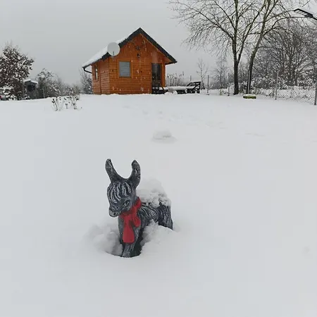 Vakantiehuis Vikendica Ajlin